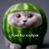 vixho198