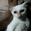 user6880045787992