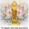 linh.an.phm04