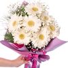 _papatya_daisy_