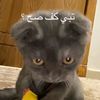 wael7888