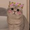 jasmine.akter.jui8