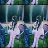 nq_wskieh.21