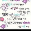 user91471681036022