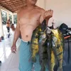 fernandosantana2784