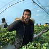 somchai.chauyok