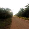 petani.tiktok07