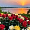user43070595371808