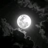 mai.gamal976