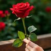 user99690197040128