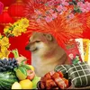 xun.qun46