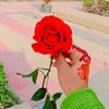 samia.islam8034
