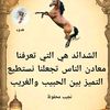 user8160035594605