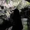 terini_susan