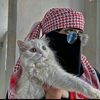 kayf.inan.poqortoy