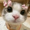 cila_pillow