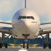 domyshmeck1