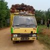 donipratama4327