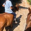 folle.de_poney