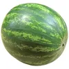watermelon65084