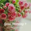 user5067512781451
