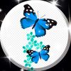 user75407844581336
