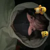 ash_14190