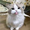 0108monluv