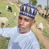 abba_kano112