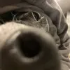 i.z.z.i.ee