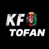 tofanxmanal2