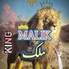malik.husnain.24