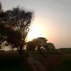 malikgujrat87