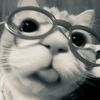 luvvmatchaii