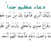 amgad.nashwan