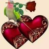 user156126531