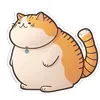 fatcatsumo