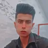 .313446204