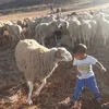 salimdjoudi2