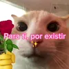 andy_2364