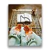 rahila.safi3