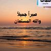 user8120813214043