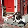 nicola.scahill5