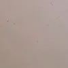 user45442828229_