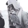 v_l8m