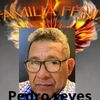 pedro.reyes2846