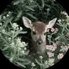 leen_14.2