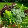 user4147432155181