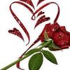 user7222403996530