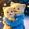 md.yousuf.khan556
